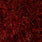 Dapper Daddy Saffron Oud