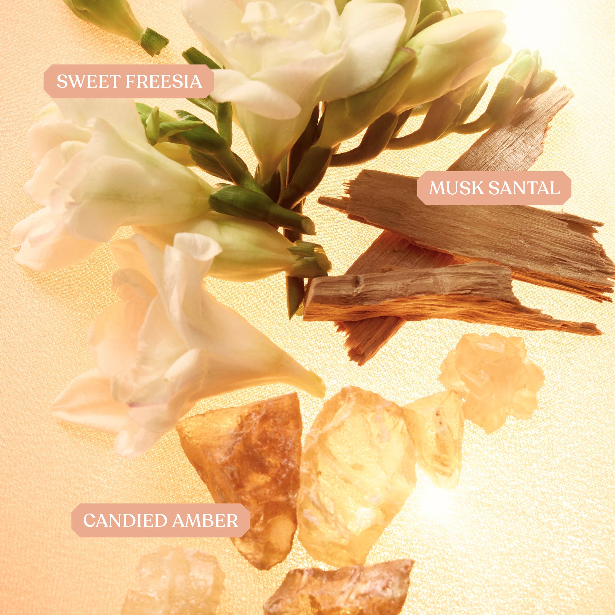 KAYALI Freedom Musk Santal | 34 - Warm & Velvety Perfume