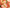 Nectarine